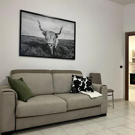 Carlo's Apartment